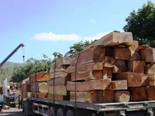 Giảm thuế xuất khẩu gỗ còn 0%